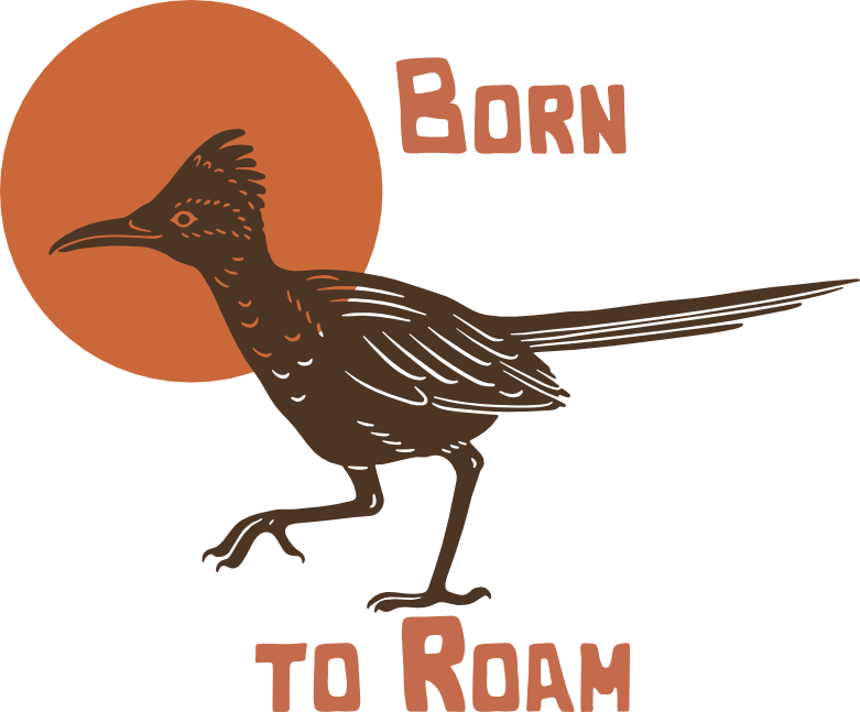VIVA BAJA - Roadrunner - Gildan 5000 - Merch-Mkt